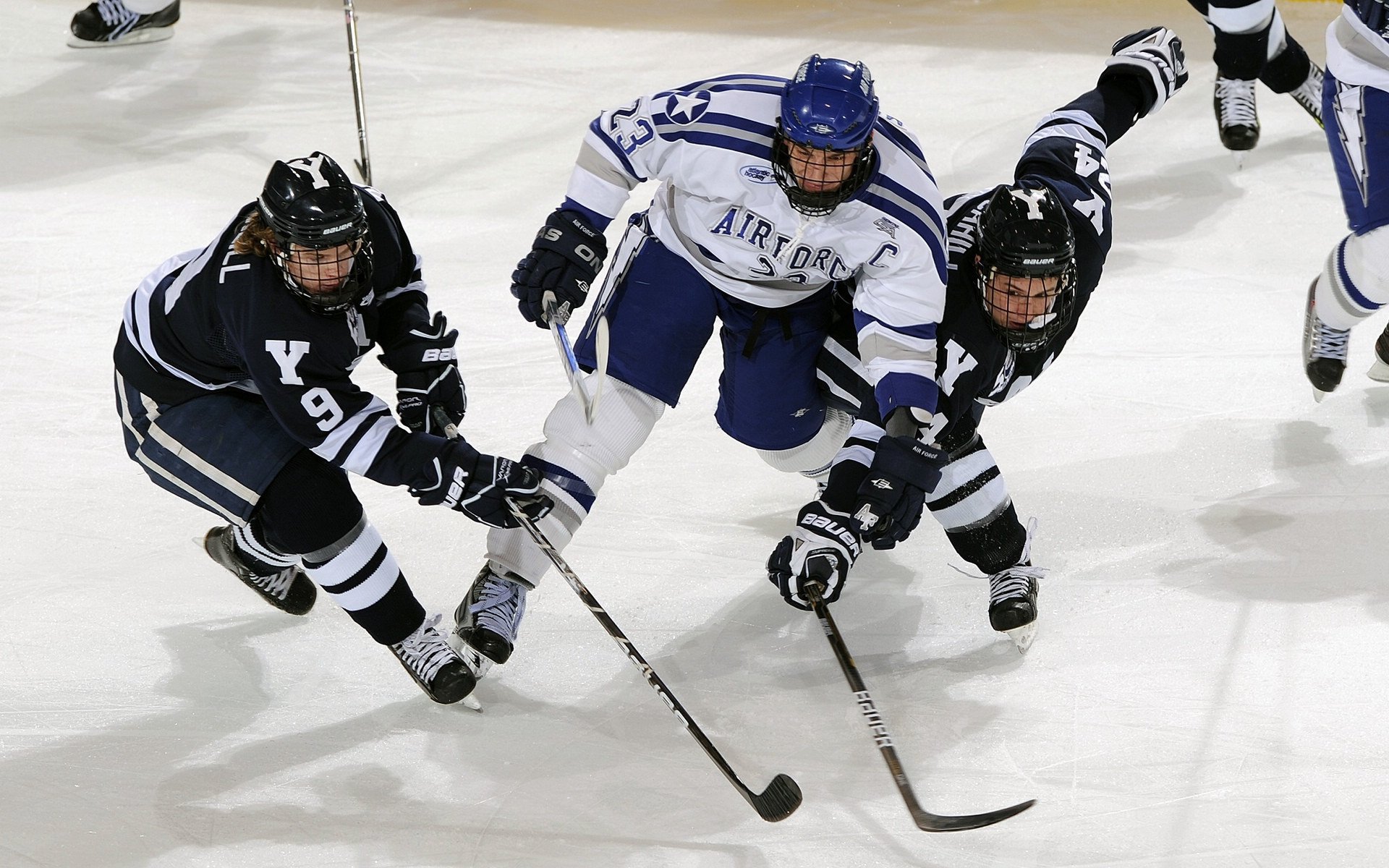 开云下载-特色青训营结合“互联网+”，实现高效个性化培训，青年特训营